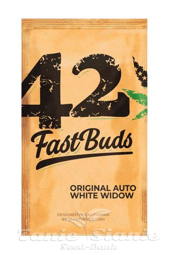 Nasiona Marihuany Original Auto White Widow - FASTBUDS