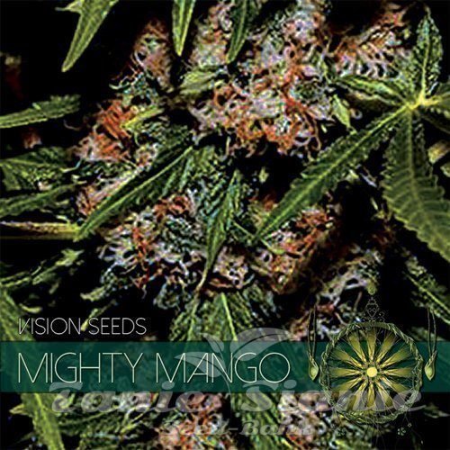 Nasiona Marihuany Mighty Mango Bud - Vision Seeds