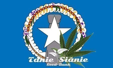Rachunek do legalizacji Konopi indyjskich w Northern Mariana Islands na ławce gubernatora