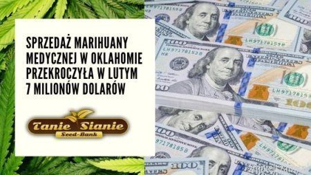 Sprzedaż marihuany medycznej w Oklahomie przekroczyła w lutym 7 milionów dolarów