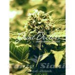 JOINT DOCTOR'S - LR#1