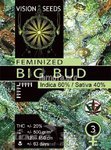 Vision Seeds - Big Bud
