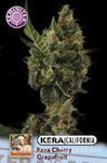 KERA SEEDS - Cherry Grapefruit