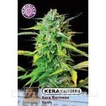 KERA SEEDS - Burmese Kush