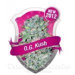 ROYAL QUEEN SEEDS - O.G. Kush