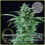 ELITE SEEDS - Llimonet Haze Auto CBD