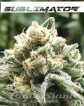 R-KIEM SEEDS - Sublimator