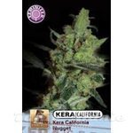 KERA SEEDS - California Nugget