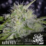 SHORT STUFF SEEDBANK - Auto Yeti