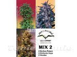 DUTCH PASSION - Mix 2