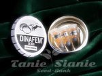DINAFEM - Collectors Pack Nº 22