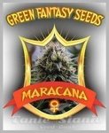 GREEN FANTASY SEEDS - Maracana
