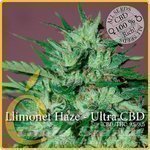 ELITE SEEDS - Llimonet Haze Ultra CBD