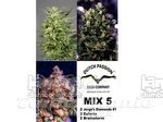 DUTCH PASSION - Mix 5