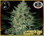 BIG BUDDHA SEEDS - Freeze Cheese '89