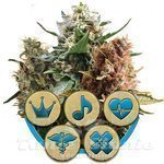 ROYAL QUEEN SEEDS - Medical Mix CBD