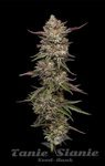 Guzzlerz - HUMBOLDT SEEDS COMPANY