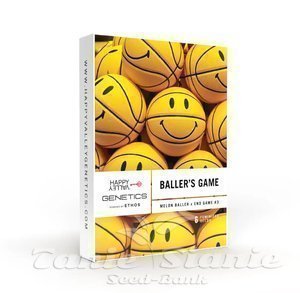 Baller's Game - HAPPY VALLEY GENETICS - 2
