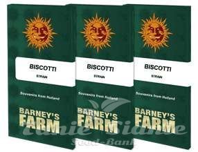 Biscotti - BARNEY'S FARM - 13