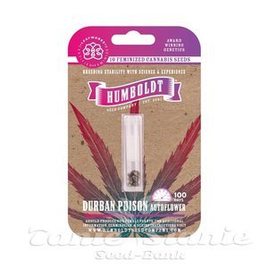 Durban Poison Auto - HUMBOLDT SEEDS COMPANY - 3