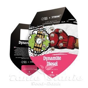 Dynamite Diesel - ROYAL QUEEN SEEDS X TYSON 2.0 - 2