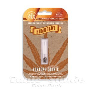 Fortune Cookie - HUMBOLDT SEED COMPANY - 2