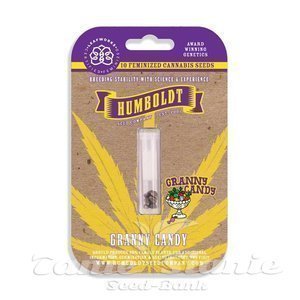 Granny Candy - HUMBOLDT SEEDS COMPANY - 3