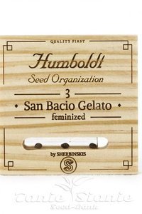 San Bacio Gelato - HUMBOLDT SEED - 1