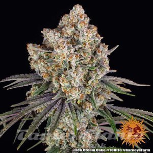 Ice Cream Cake - BARNEY'S FARM - 6
