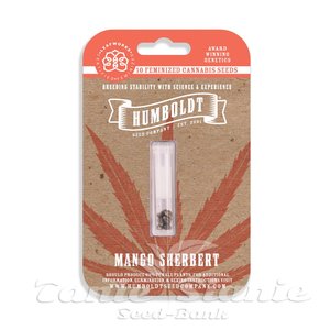 Mango Sherbert - HUMBOLDT SEED COMPANY - 2