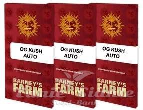OG Kush Auto - BARNEY'S FARM - 2