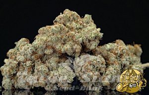 Passion Berry - THE CALI CONNECTION - 3