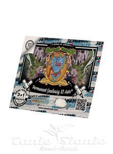 Permanent Jealousy XL Auto - SWEET SEEDS - 2