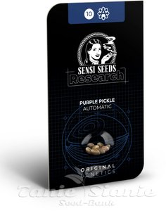 Purple Pickle Auto - SENSI SEEDS - 2