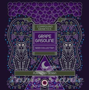 Purple Preserves - COMPOUND GENETICS - 3