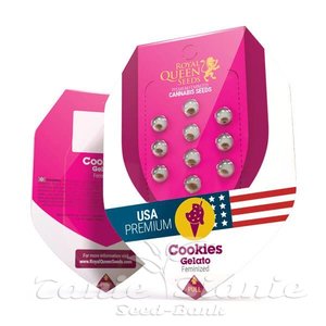 Cookies Gelato - ROYAL QUEEN SEEDS - 2