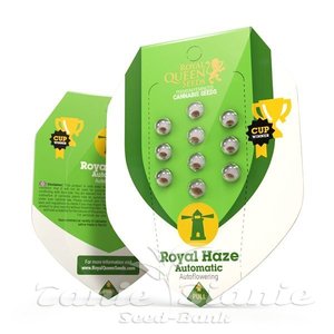 Royal Haze Automatic - ROYAL QUEEN SEEDS - 2