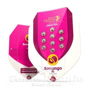 Somango XL - ROYAL QUEEN SEEDS - 2