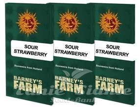 Sour Strawberry - BARNEY'S FARM - 9