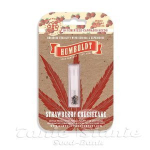 Strawberry Cheesecake - HUMBOLDT SEED COMPANY - 4