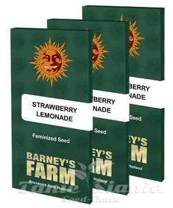 Strawberry Lemonade - BARNEY'S FARM - 4