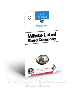 Vlad the Inhaler - WHITE LABEL - 2