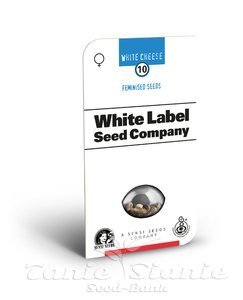 White Cheese - WHITE LABEL - 2