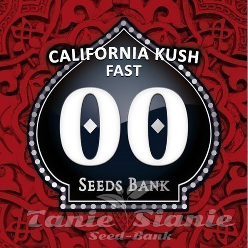 Nasiona Marihuany California Kush fast - 00 SEEDS BANK