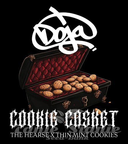 Nasiona Marihuany Cookie Casket - BARNEY'S FARM