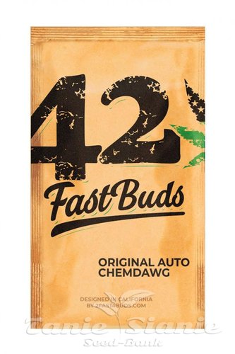 Nasiona Marihuany Original Auto Chemdawg - FASTBUDS