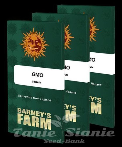 Nasiona Marihuany GMO - BARNEY'S FARM