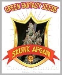 Nasiona Marihuany Skunk Afghani - GREEN FANTASY SEEDS