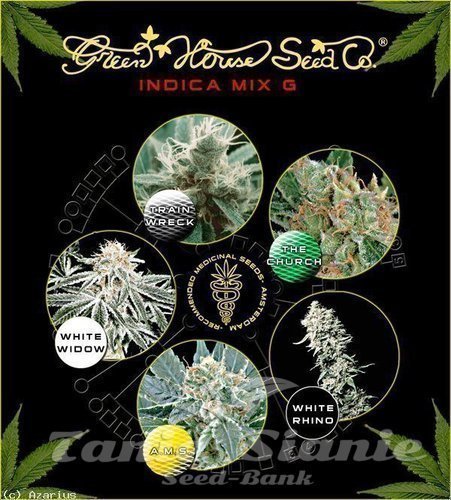 Nasiona Marihuany Indica Mix G - GREEN HOUSE SEEDS