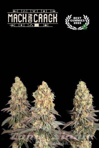 Mack & Crack - SEED STOCKERS